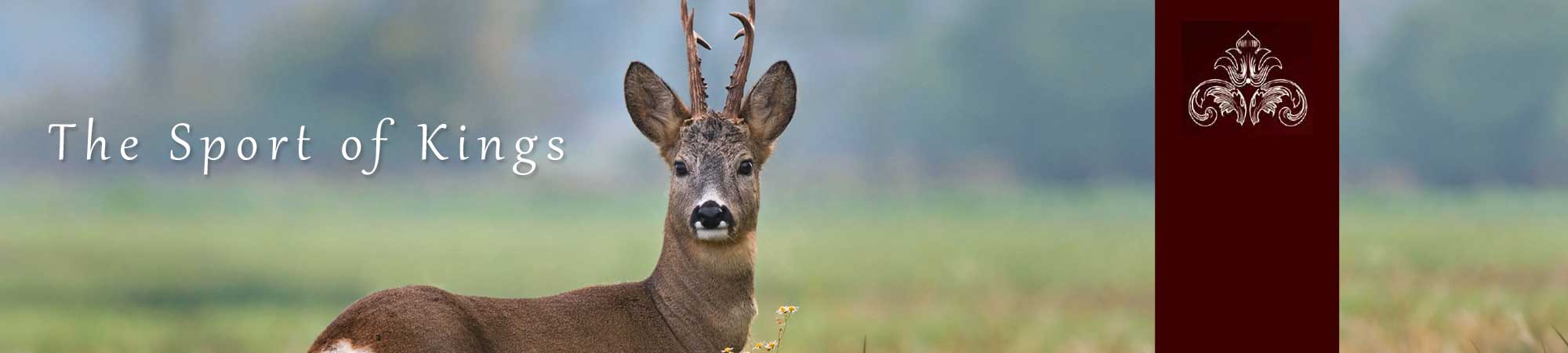country sporting, deer stalking